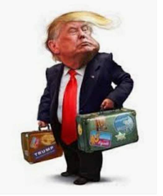 carolinecutey's tweet photo. @realDonaldTrump You lost and good riddance https://t.co/EAZAAzTNLv