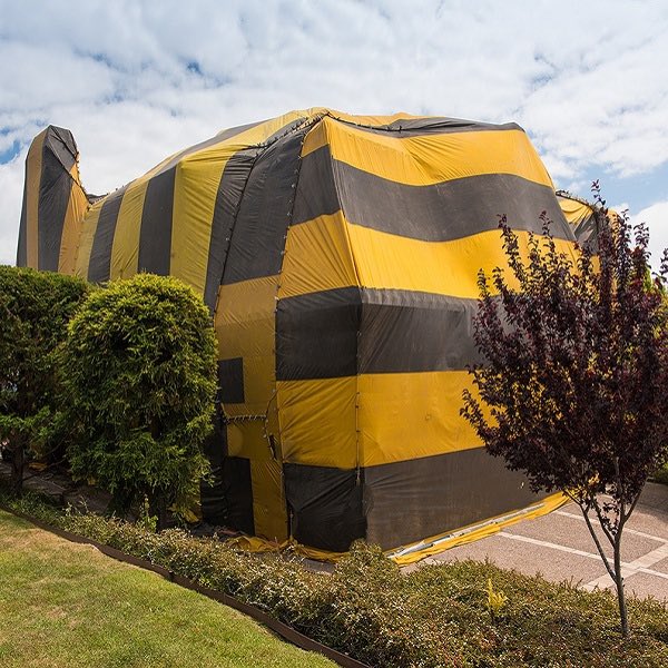 SallyRWatkins's tweet photo. Y’all, they need to do this to the @WhiteHouse with @Lysol  before @JoeBiden &amp; @KamalaHarris take office. #WearAMask #tented #exterminate #COVID19 https://t.co/vnpRJ0lnjl