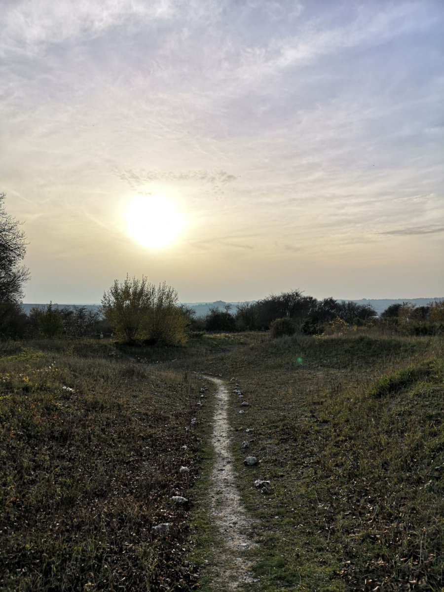 artcath's tweet photo. @SlowWaysUK @cherylsp_ Here's one from a walk along the chalk paths of Magdalen Hill today. #walking #lockdown #Winchester #paths #chalkpaths @HantsIWWildlife https://t.co/UtO9yQAhqQ