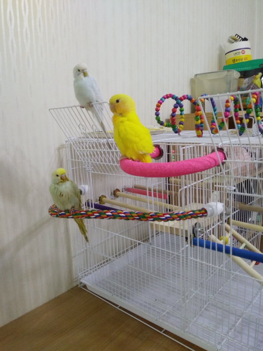 1층 2층 3층 입주자 모임
1층 세입자분! 이유식먹는 꼬질이시네여?!🐥🐣