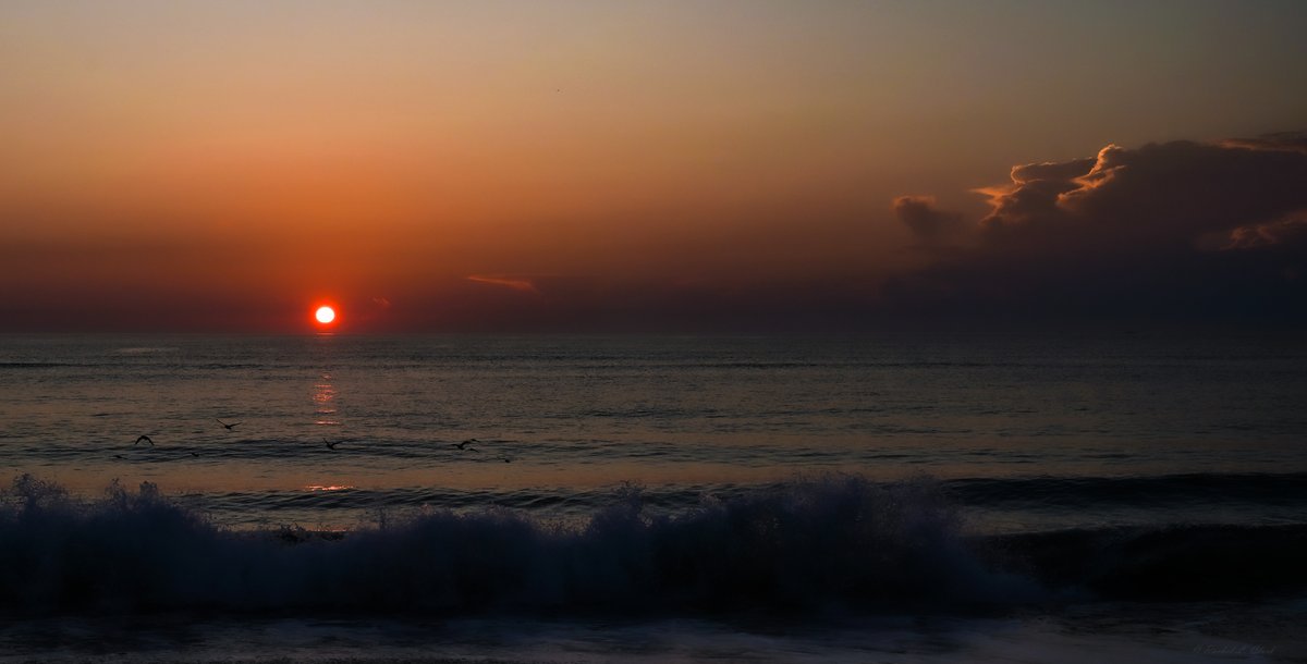 therachelife's tweet photo. Ethereal sunrise. Nags Head, NC. #sunrise #PhotoOfTheDay #travelphotography #photography @VisitNC #landscape #landscapephotography #beachvibes #SummerVibes #vacation #weather #Memories #Peace #myhappyplace #welcomedistraction https://t.co/9Tk3da6utg