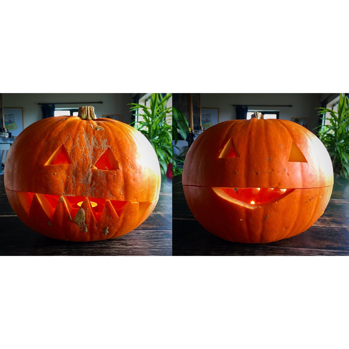 galarama's tweet photo. @globalintv ...dang I didn’t do pumpkin pie! https://t.co/mPzr9J31LR