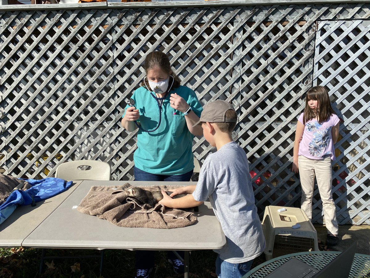 MiddletownFFA's tweet photo. The #mhsprevet class was able to watch a virtual veterinary check yesterday. Thank you Catoctin Veterinary Clinic and Dr. Brooke Ridinger. @FCPSMaryland #mhsffa #fcpscte #fcpsffa @MarylandFFA https://t.co/N49Ur1EpIo