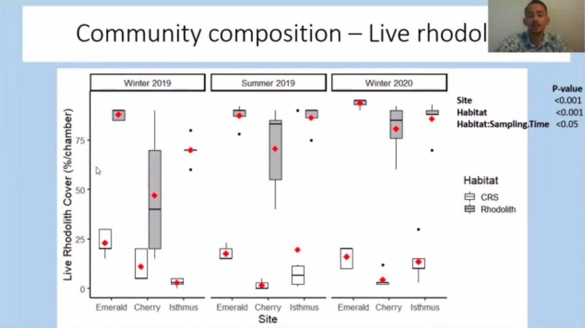 scottgabara's tweet photo. Great presentation by Darrin Ambat #WSN2020 on how boat mooring chains at Catalina Island reduce coralline algal rhodolith cover, alter community composition, and change productivity @SDSU @SDSU_CMIL https://t.co/fYducruhh9