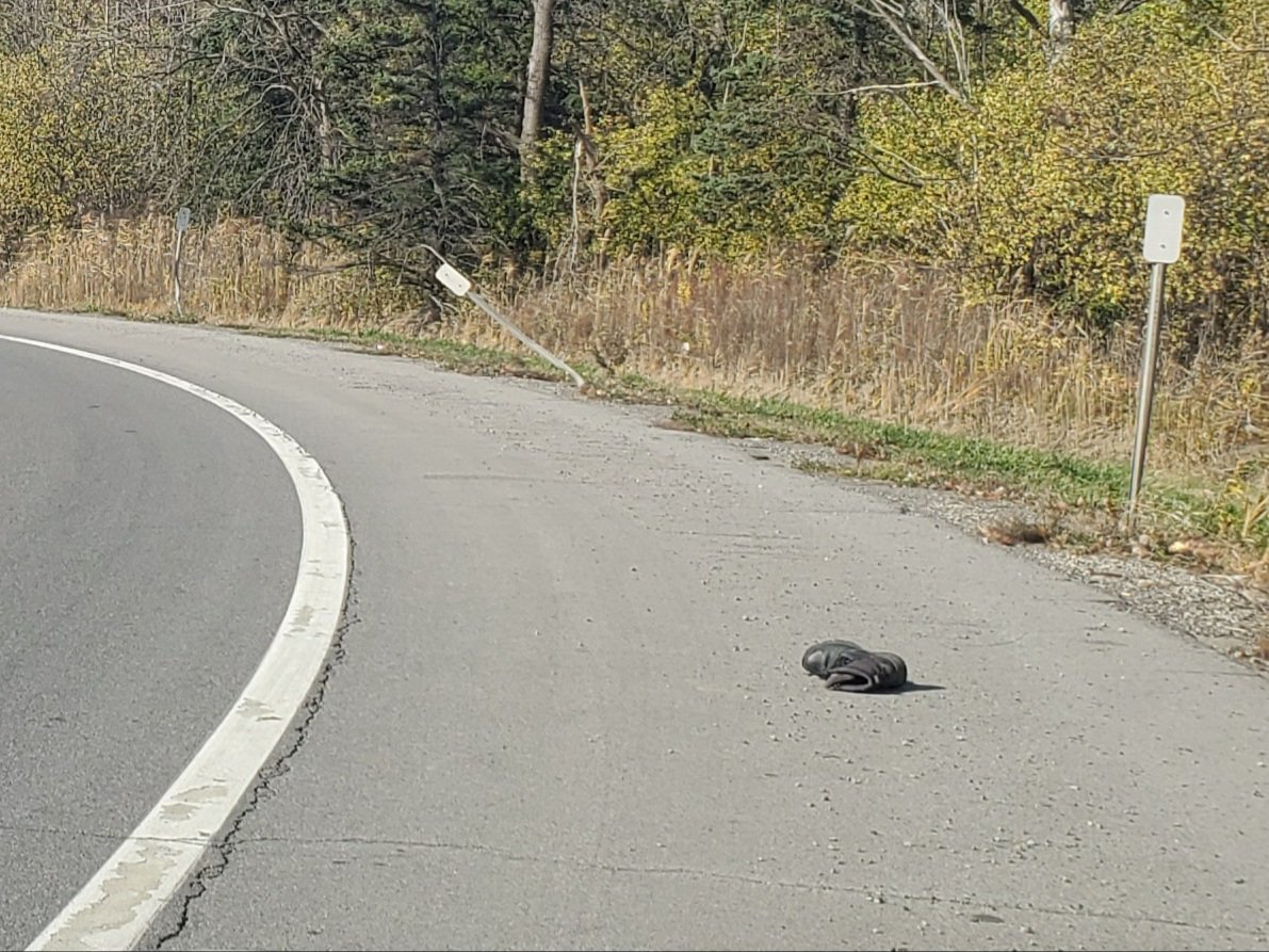 wspolice's tweet photo. To people who lose one shoe on the side of the road we just want to know more about you. Your hopes, your dreams, your mysterious past, all of it https://t.co/4JvNFXTBfh
