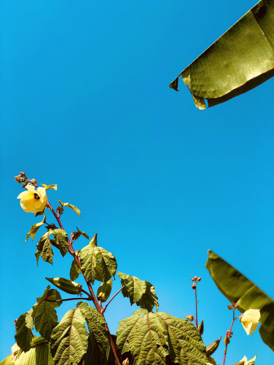 NatureBeast5's tweet photo. Nature Has the Overall Beautyβ₯οΈβ₯οΈβ₯οΈ! https://t.co/Xj78iFjHHZ