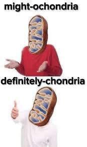 chondria2020's tweet photo. Without me, none of your organelles could do your job...because I’m the POWERHOUSE #mey20 https://t.co/02xewA6mS1