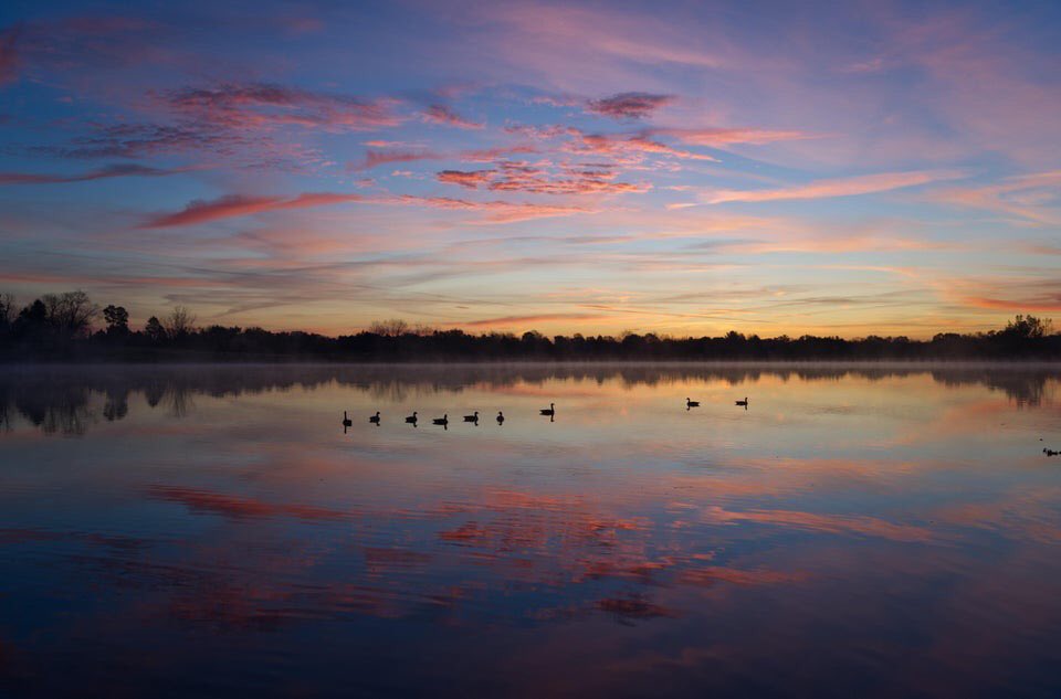 loukyparks's tweet photo. ๐
A beautiful sunrise at Long Run Park.
.
๐ธ: @mwilkinsphotos
.
#sunrise #lakeviews #lakeview #rainbowpark #colorfulsunrise #louisvilleparks https://t.co/4jpyzVq11I