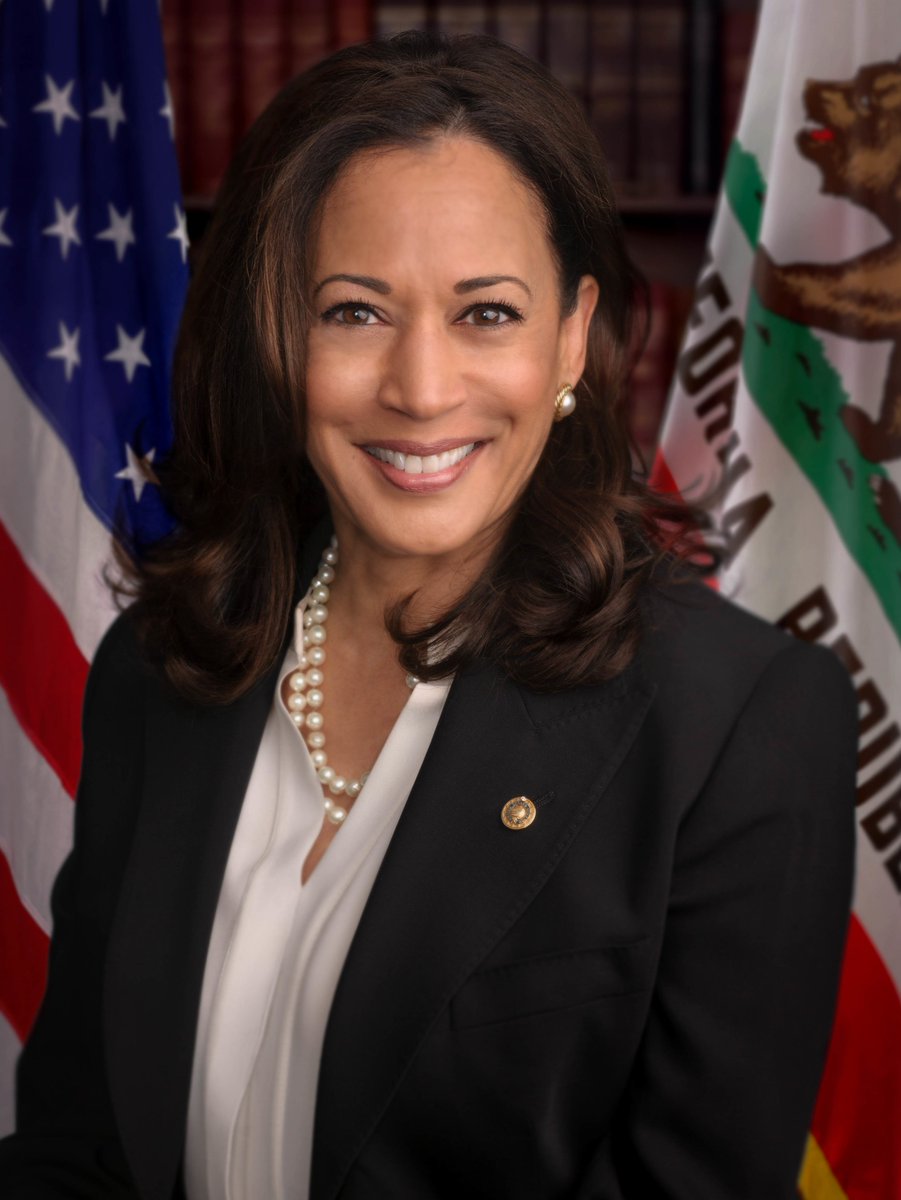 Kamala Harris has made history as the first Black woman and the first person of South Asian descent to be elected Vice President of the United States.