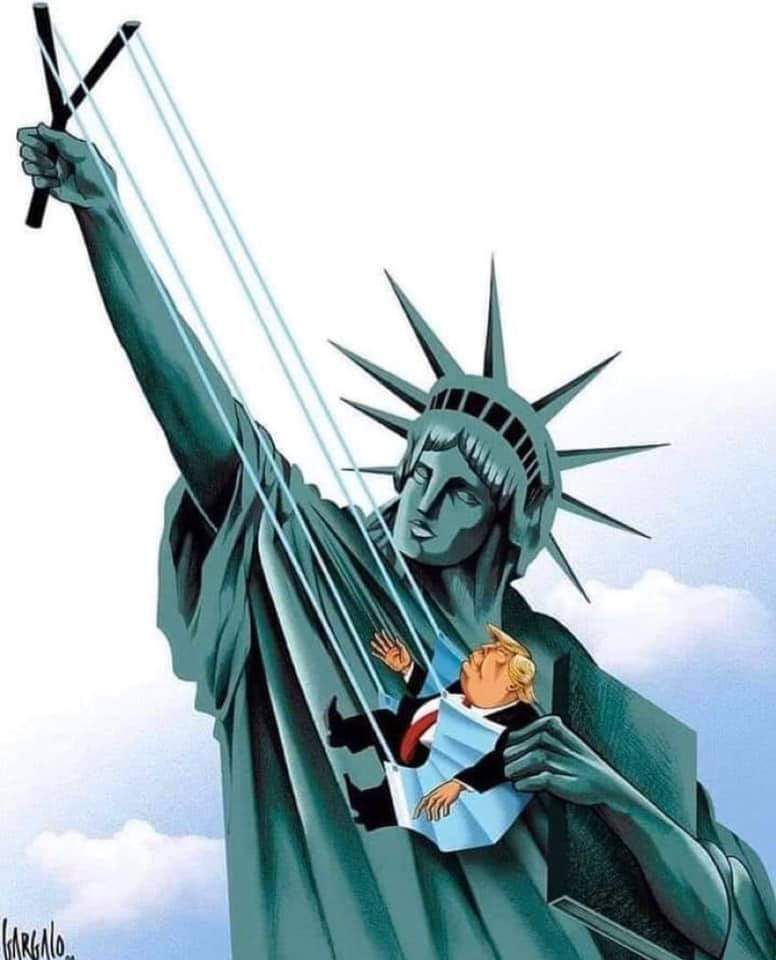 NeedCattus's tweet photo. @realDonaldTrump https://t.co/oRJBE4kZyA