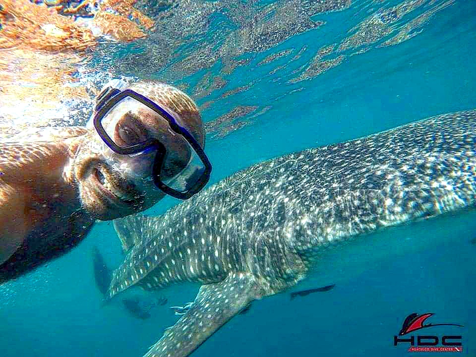Today is #underwaterselfieday contest organized by @PADI @paditv and @gopro.Here is our pic.

4 info visit padi.co/hswth 

#divehuatulco #HDC #huatulcodivecenter #underwaterselfie #selfie
#selfieday #gopro #padi #paditv #whaleshark
#smile #underwaterpic #underwaterlife