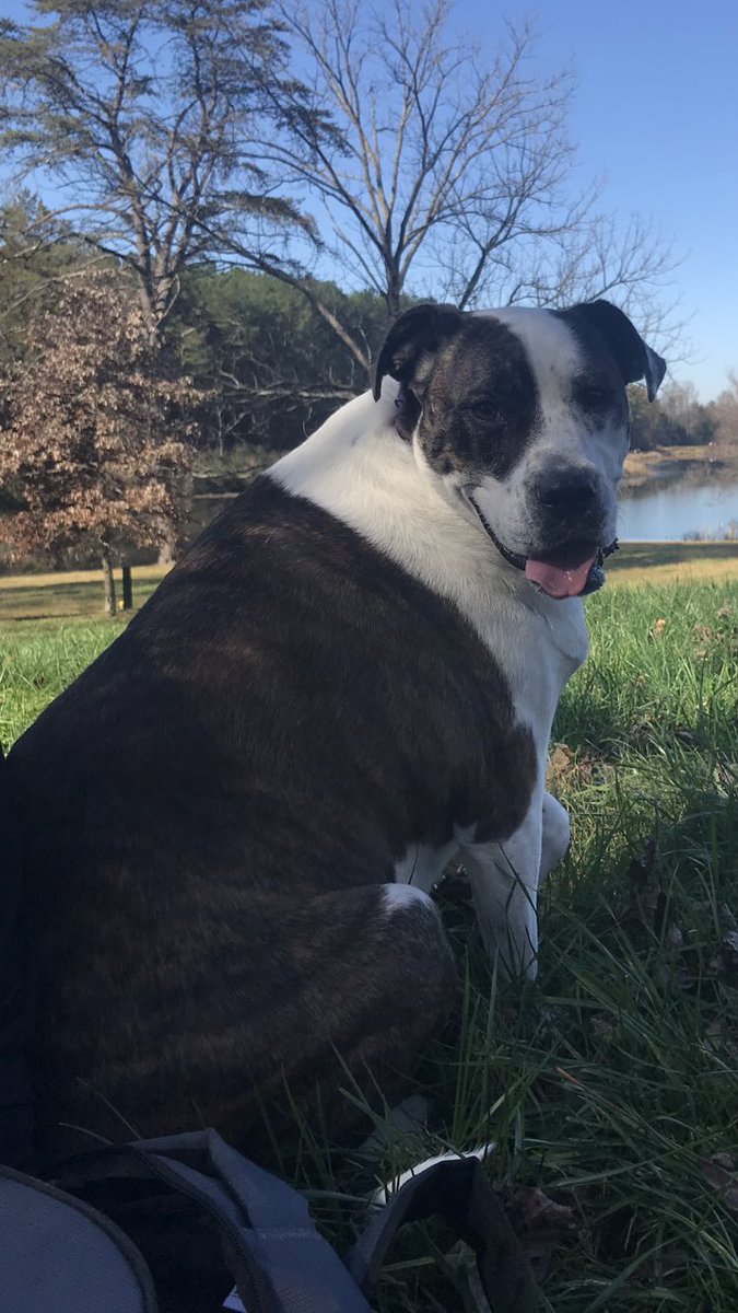 Beast502Mode's tweet photo. Great day at the park...
#NatureBeast https://t.co/U8Eta0ym7v