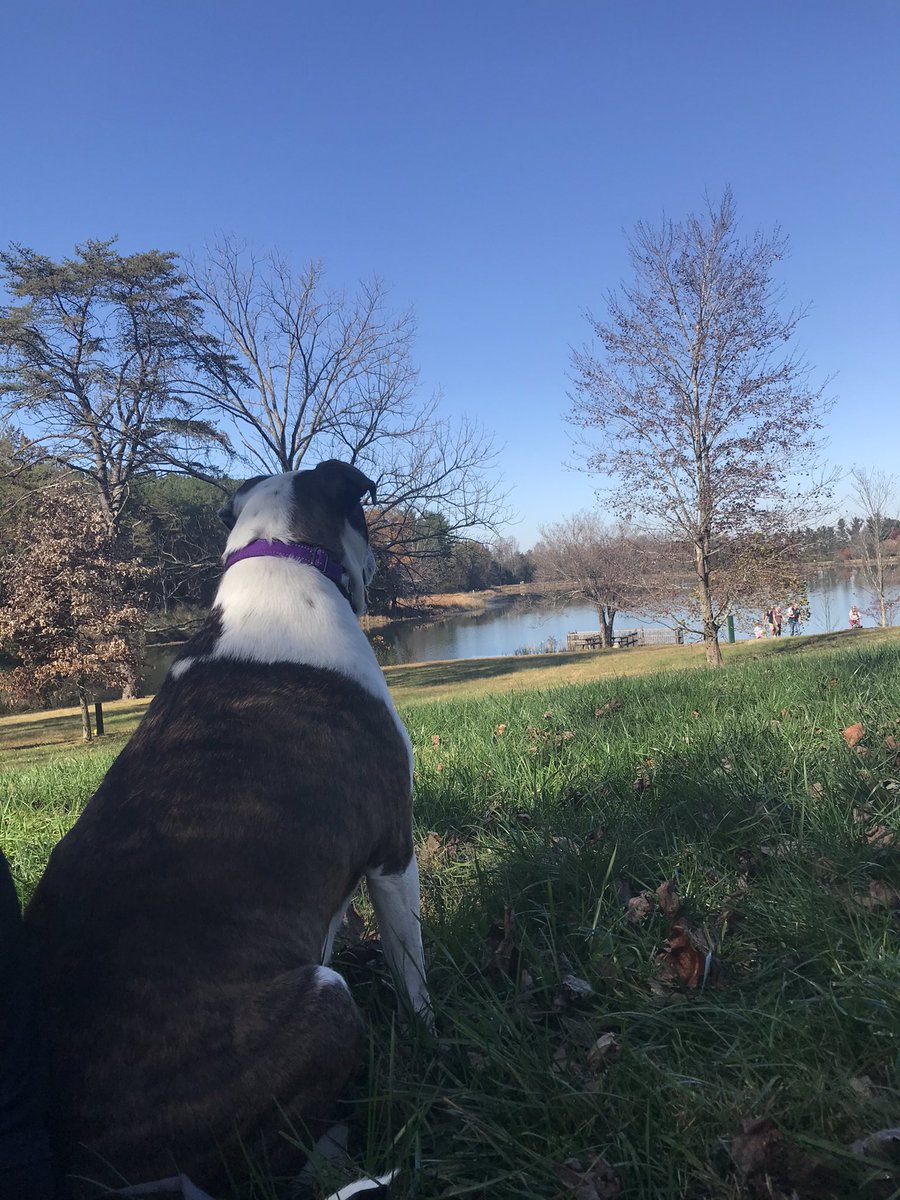 Beast502Mode's tweet photo. Great day at the park...
#NatureBeast https://t.co/U8Eta0ym7v