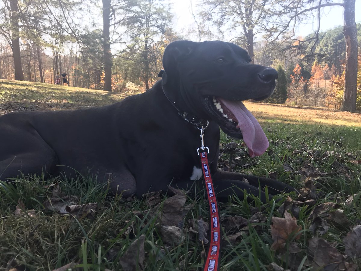 Beast502Mode's tweet photo. Great day at the park...
#NatureBeast https://t.co/U8Eta0ym7v