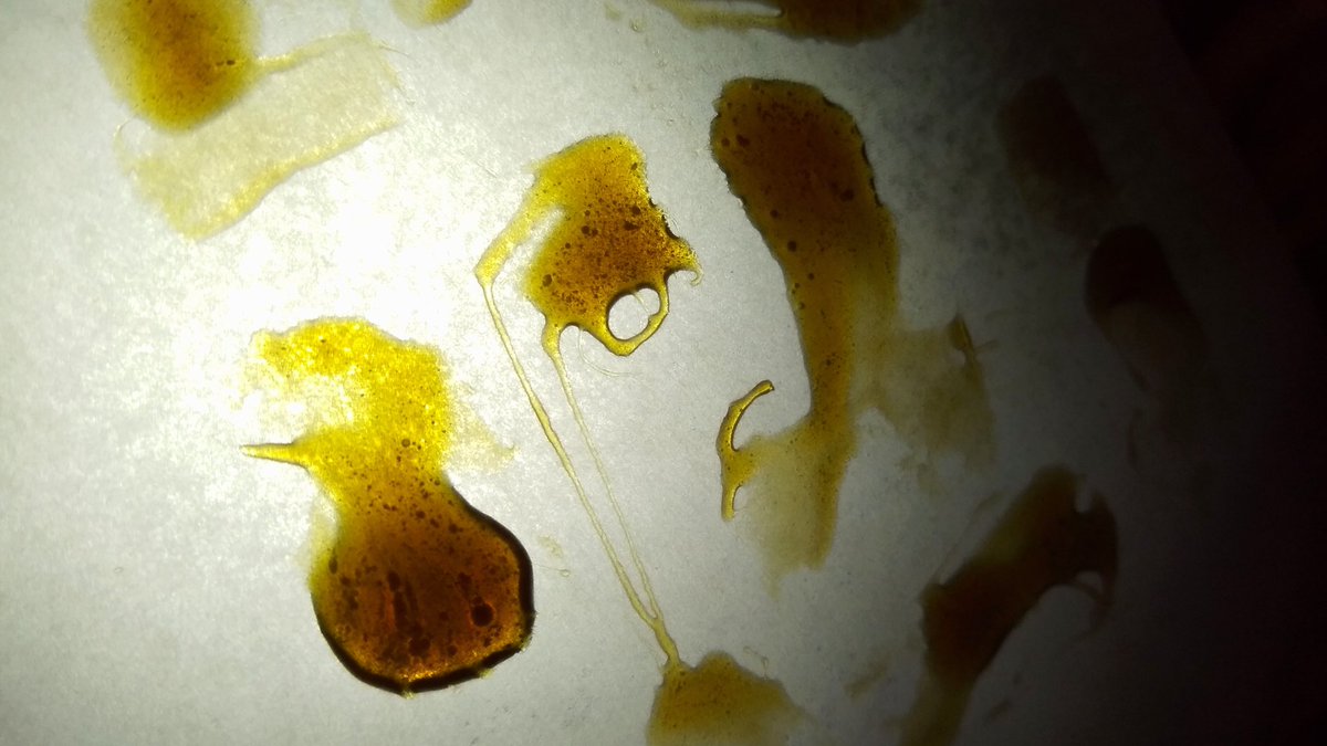 JoaquimW's tweet image. Buena tarde de prensa con #Somango. 
Óleo sobre lienzo. 😅

#Rosintech #Mmemberville #Rosin