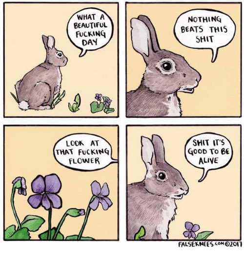 Many things to say re: neoliberalism &amp; the work ahead, but today I’ll focus on these facts: the sun is out, I love my parents, I love my partner &amp; boyfriend, I love these kids, I love my peoples, I love my chihuahua, &amp; the man who called my people rapists has been voted out.