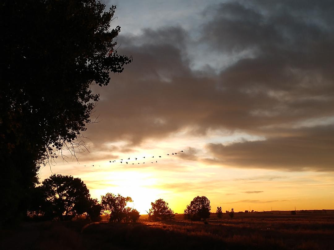 FiLiEdProj's tweet image. Powered by the strength of the bison, the endless possibilities of the world around us, and the clarity and creativity of the dawning of first light, we are energized and ready to get to work! 

Bring it on...let's go! (2/2)

#ThoughtsAtFirstLight