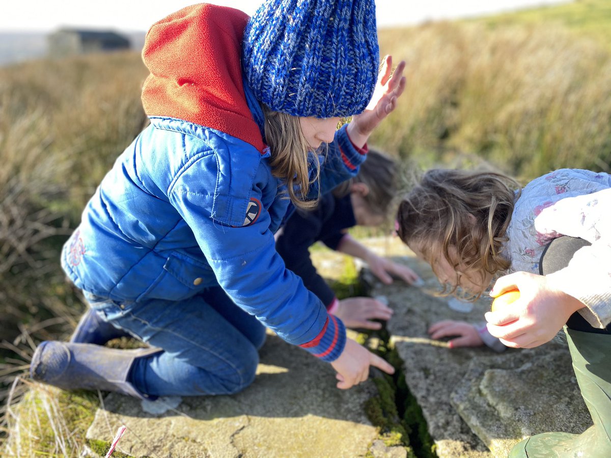 YorkshireShepherdess tweet media