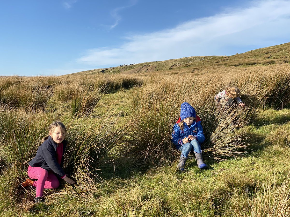 YorkshireShepherdess tweet media
