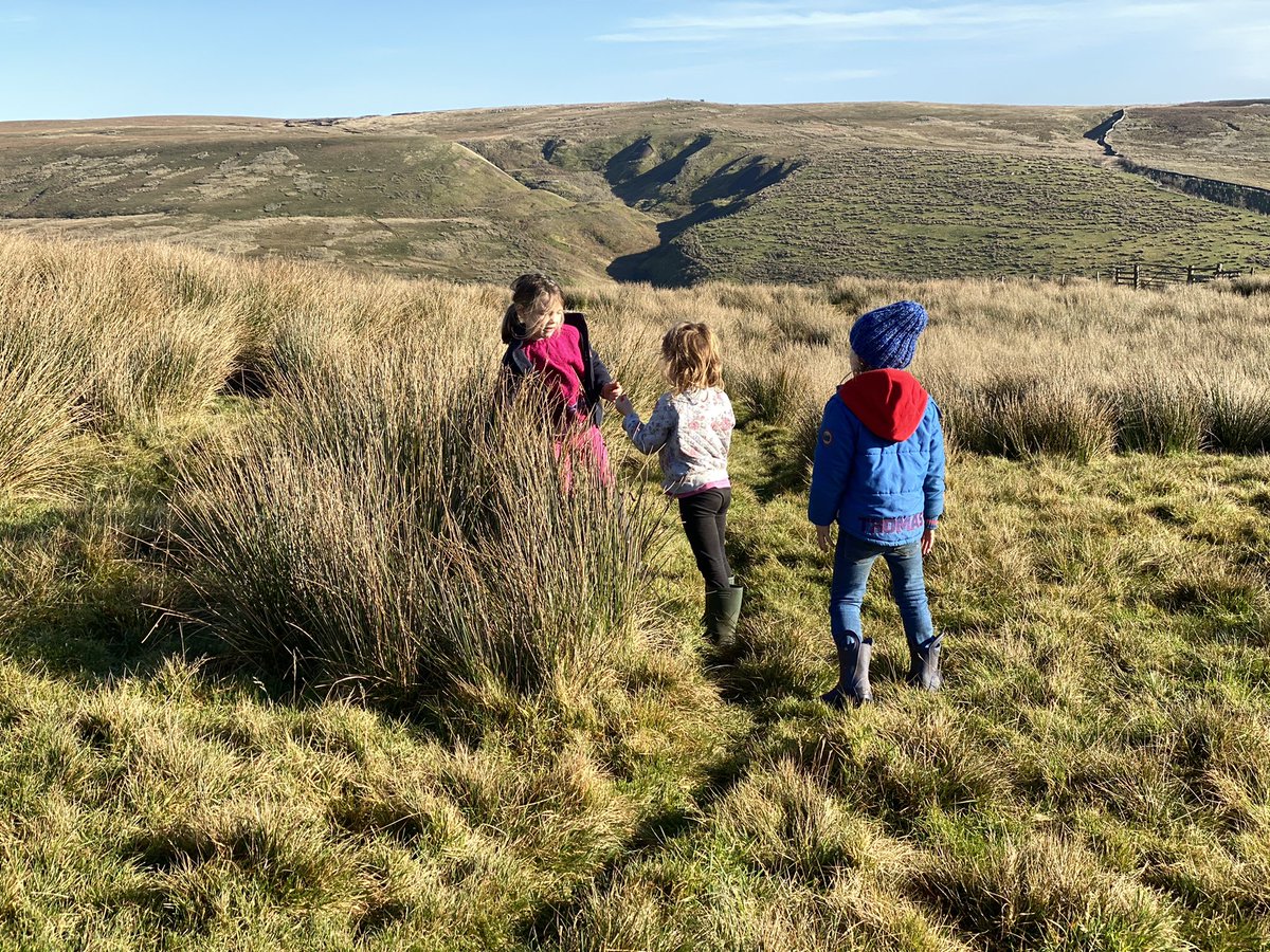 YorkshireShepherdess tweet media