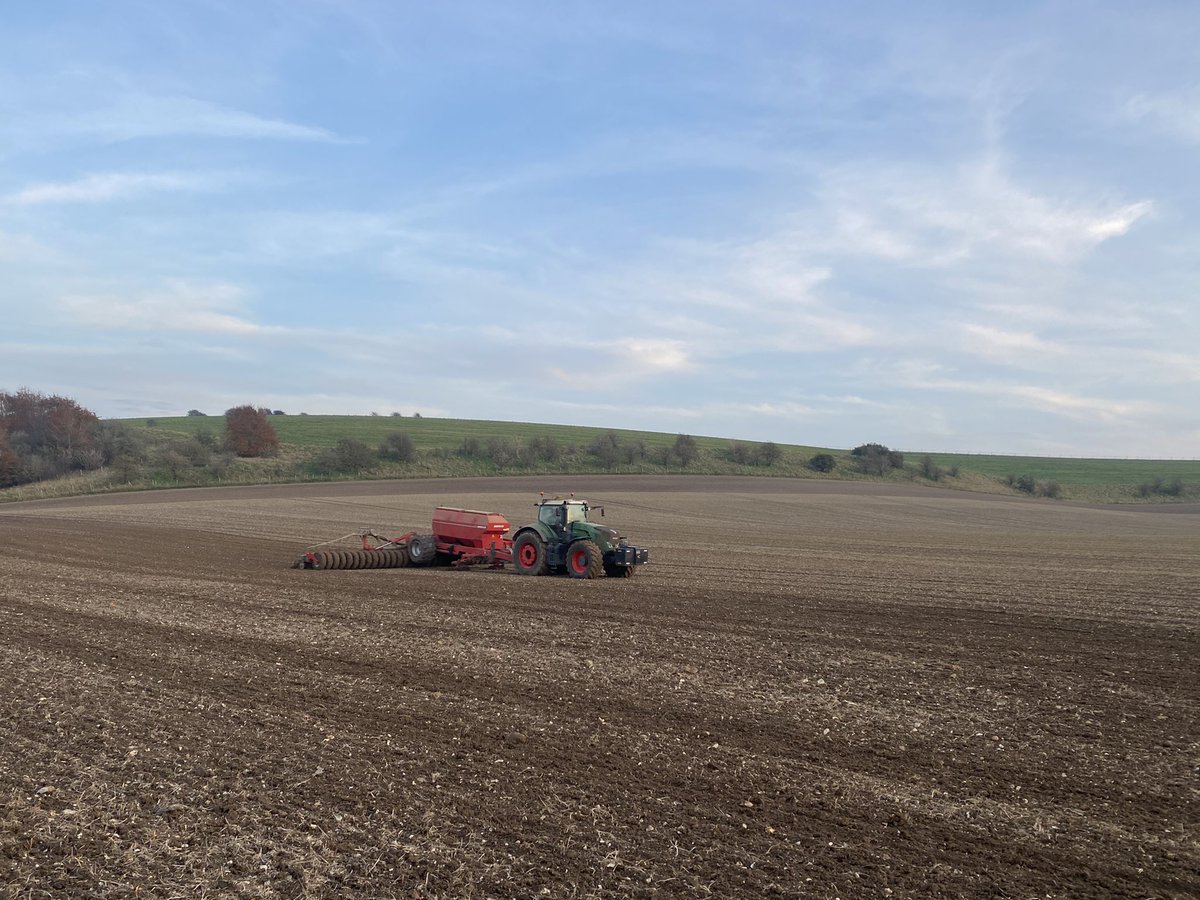 PriceJock's tweet photo. Final few days of drilling. Been a long old road. Bloody good effort from all the farming team at Rooksnest.... #harvest2021 is possible! @HORSCHUK good effort 💪🏽 https://t.co/larpNfTyqO
