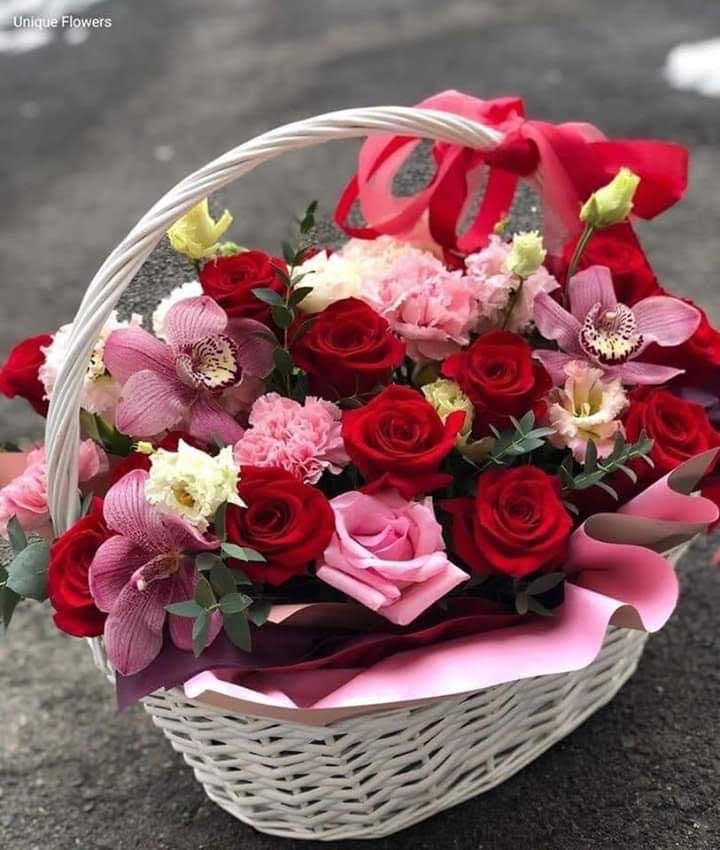 <a href="/purpuracocaes1/"><a href="/purpuracocaes/">#Colombia</a></a> <a href="/fJnRDcc4ZQxs/">@EbutahirA (ALLAH'tan gayri kudret bilmeyiz.!)</a> <a href="/Chief_Pilot_/">Сергей Борисенко 🇷🇺</a> <a href="/r95731/">💓 s a R a v 💓 🇮🇳मेरा भारत महान🇮🇳 🥰100 K+🥰</a> <a href="/malbapalo7/">🚫DM🚫</a> <a href="/MVereshchagin/">Michael Vereshchagin</a> <a href="/IzabelleCova/">🌺 Iza 💦</a> <a href="/MARIALUISAMAR5/">MARIA LUISA</a> <a href="/MartaAvendao/">Marta Avendaño 🍃🌸</a> <a href="/marinagarzon5/">marina Garzon</a> @LnVdOB <a href="/LupitaCampos13/">Lupita Campos</a> <a href="/TuTulsa/">tulsa</a> <a href="/Chandra1Vinod/">Jessica</a> <a href="/mainzina/">Elizabeth</a> <a href="/sushilpershad/">sushil ??</a> <a href="/EdCruz38273764/">Ed Cruz🏹 Máfia da Verdade 🏹</a> <a href="/sadino22/">martin_p</a> <a href="/shaker_michel/">☘️❣️ℳ. ЅℋᎯᏦℰℛ 💞🦋🌷🎠</a> <a href="/denisbatist/">denis barbosa batist</a> <a href="/Cesuryorum/">Cüneyt Şaşmaz🇹🇷</a> <a href="/laiane020/">Laiane</a> <a href="/Loredana1237/">🇧🇷Loredana 🇧🇷 #AME💖</a> <a href="/leopoldolaragl/">Dr Leopoldo Lara</a> @Male_malefica <a href="/purpurasoloamor/">Solo Amor</a> <a href="/andreagaviriaga/">Andrea Gaviria García</a> @purpuracocaes <a href="/nabilhasan48/">حسن العراقي</a> <a href="/ArshadKhanKhat5/">Arshad Khan Khattak</a> <a href="/mouden_ab/">freedom.55🌷</a> <a href="/monicasloves/">Monica Cates</a> <a href="/LToruntay/">BİSMİLLAHHİRRAHMANİRRAHİM</a> <a href="/PolakPotrafi333/">Polak Potrafi</a> <a href="/CanoEscalo/">CONSUELO</a> <a href="/Sadeem17381503/">Sadeem</a> <a href="/AslamCh61/">Aslam Chaudhary</a> <a href="/elsufuen/">Susana Fuentes</a> <a href="/zerok_z/">Asi ♡</a> <a href="/eoff_sylvia/">Sylvia</a> <a href="/angelicagallegs/">🇧🇷 ♫J.Angelica G. Gallegos♫🇧🇷</a> <a href="/IsmailShihan/">Ismail Shihan</a> <a href="/AboHamedo/">Abo Hamedo</a> <a href="/WaringJudy/">Judy Waring</a> <a href="/RoshanDua/">Roshan Dua @9953331066</a> <a href="/lazurit_plus/">Olga</a> <a href="/Bianca15048017/">Pantious  Bianca</a> <a href="/maria_madeiro/">MARIA  MADEIRO</a> <a href="/marina19619/">Marina</a> <a href="/MaxMaxi97215619/">Max Maxime</a>