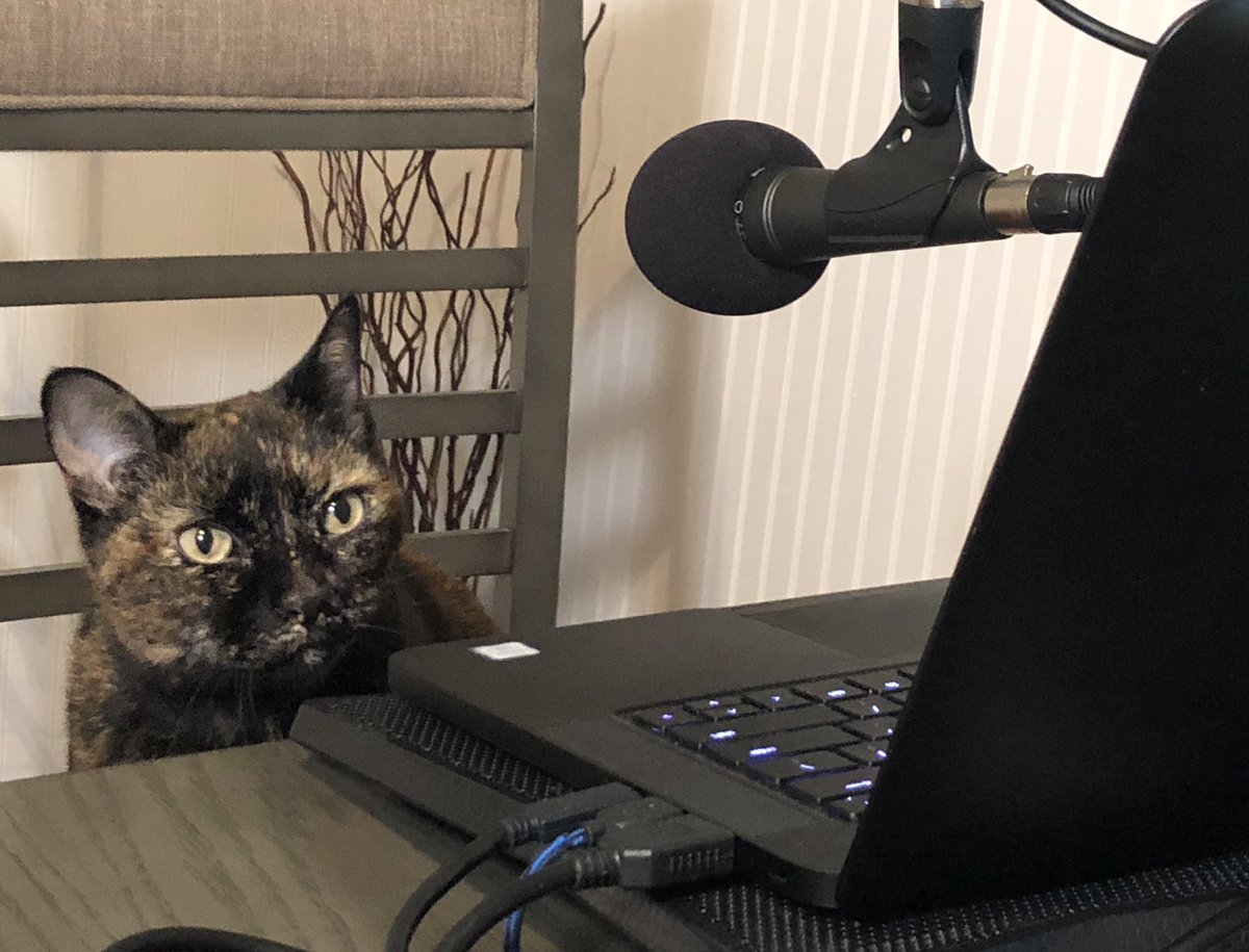 YFilesPodcast's tweet photo. We may have an unexpected guest on today’s #podcast.
#YFilesPod https://t.co/rvqPrqWUzm