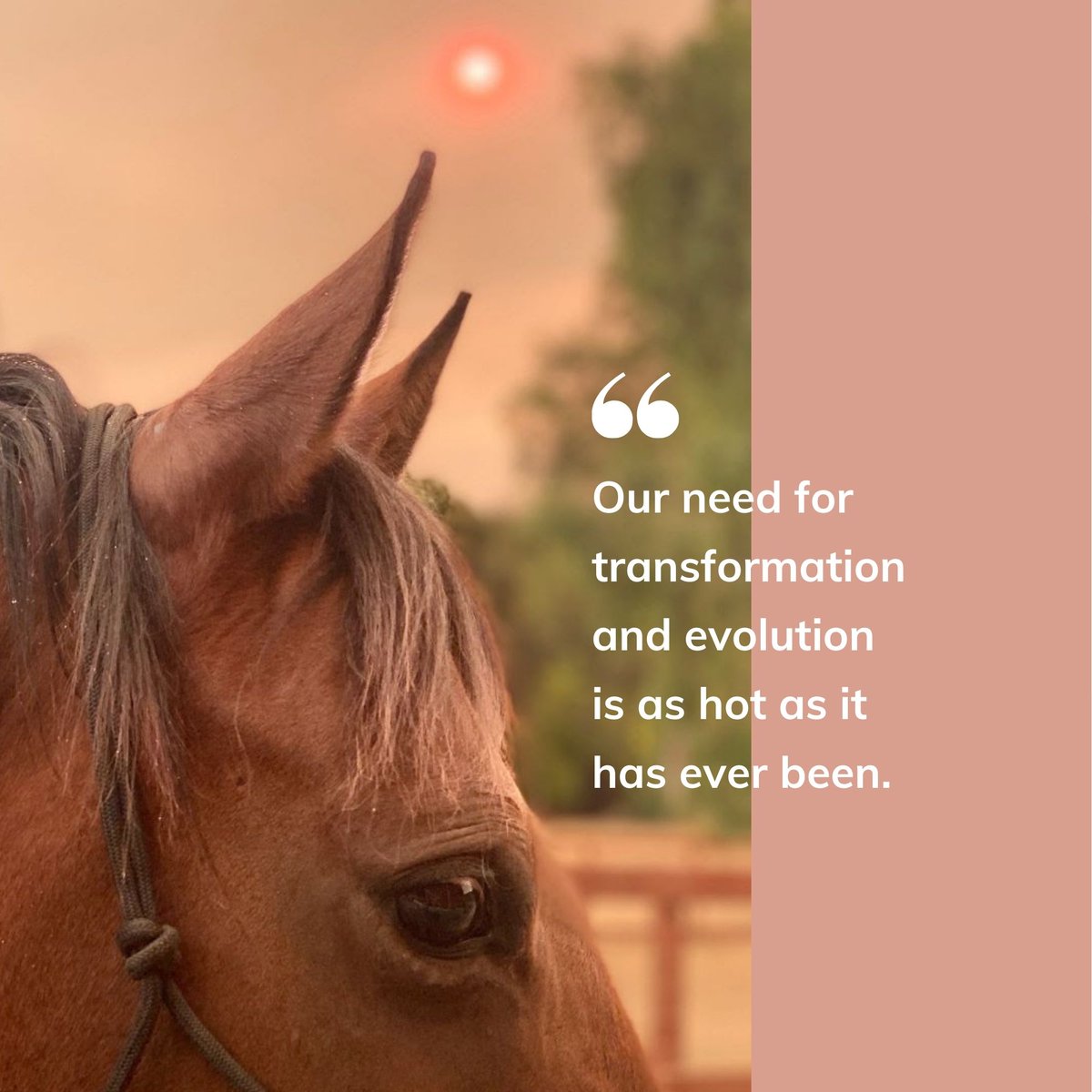 thecircleup's tweet photo. Sitting at a desk and staring at numbers on a screen doesn’t light up the part of our human-animal that operates as a herd member. https://t.co/7RhJFxjpad #wildfires #community https://t.co/2hFC31ZqRp