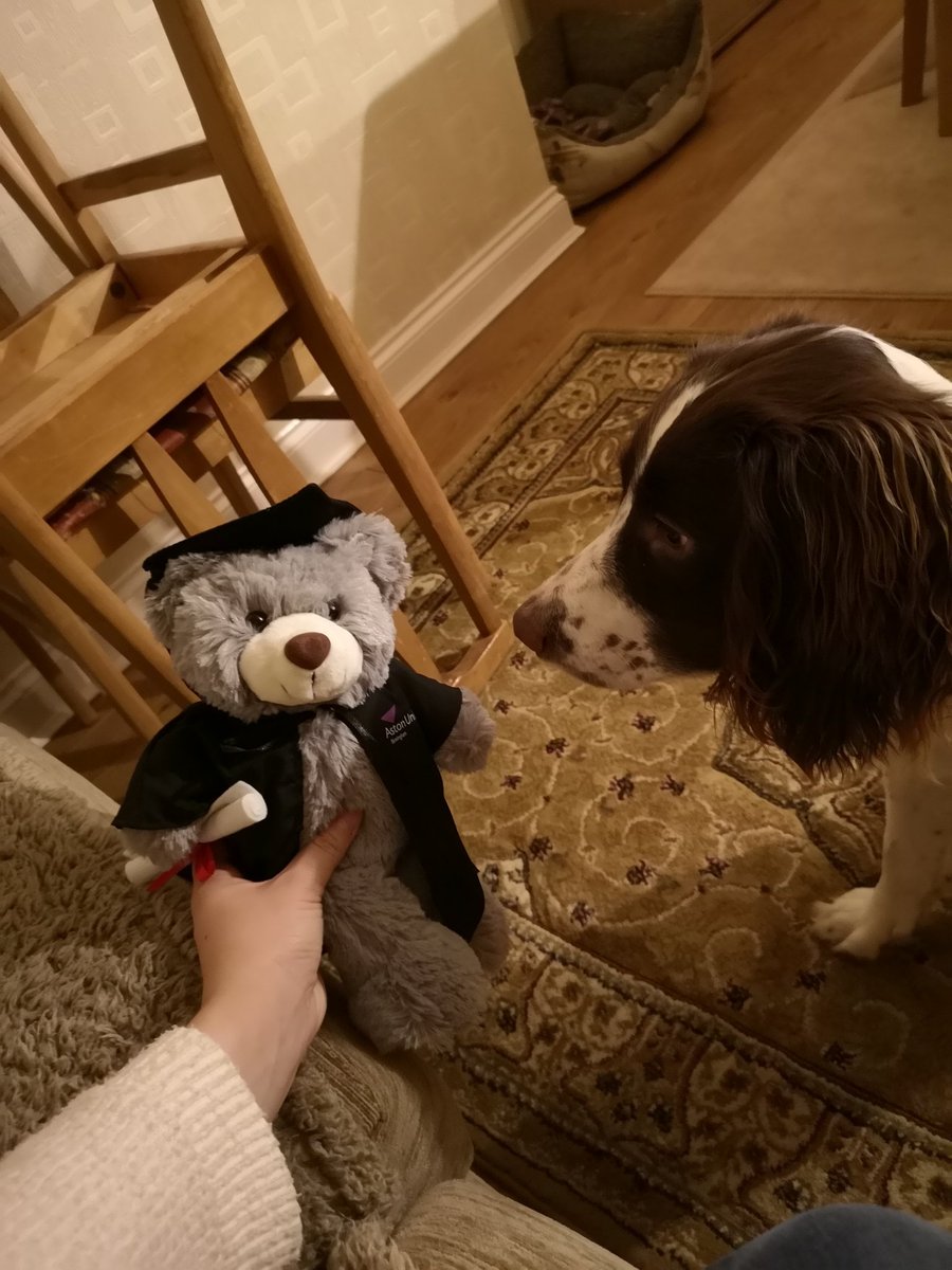 meggles196's tweet photo. Thank you @AstonAlumni for my graduation bear! 🐻 🎓 https://t.co/pMIc7xmm7N