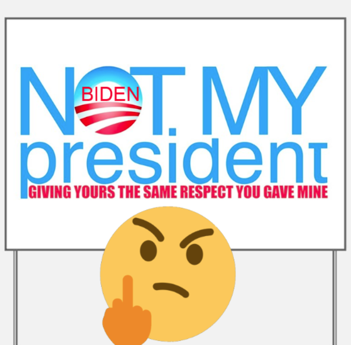 KatWomanUSA's tweet photo. BIDEN declared winner by IG &amp; FB👎🏻We need to hold @GOP Congress feet to the FIRE!! Will they find their balls &amp; stand firm against D's platform? Lindsey already talking bipartisan. CAVING. NONE of their "causes" &amp; demands should be acquiesced to. VOTE NO to all-RESIST ALL OF IT https://t.co/L1FedkOkC7