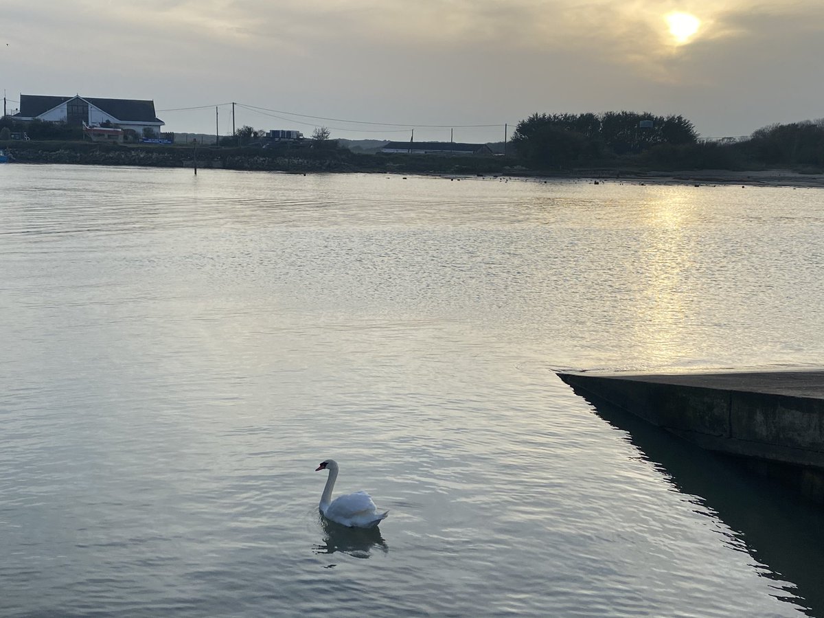 SarahGreenPT1's tweet photo. Lovely walk along the seafront in Littlehampton ❤️ #dailyexercise #Lockdown2 https://t.co/g7IiZm2CgX