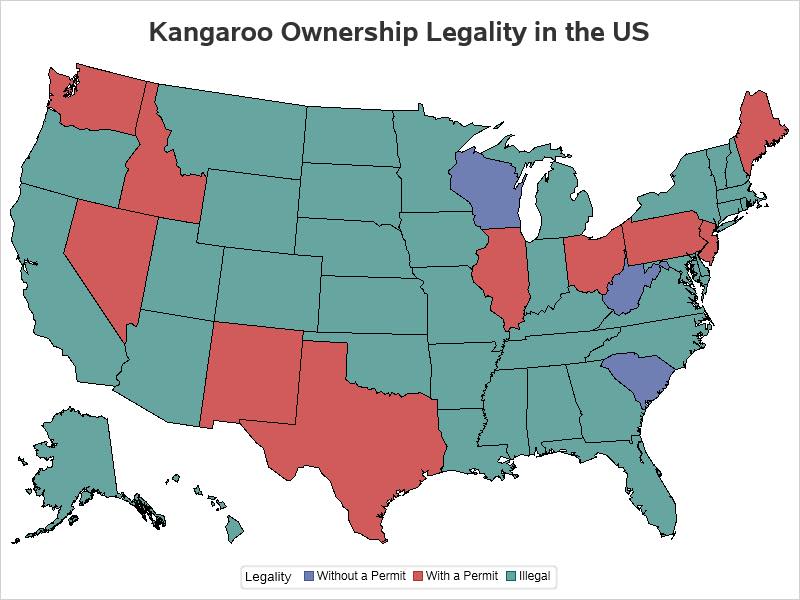 dragosbln's tweet photo. #Election2020 stare at a different map a minute https://t.co/Q36JAnypP4