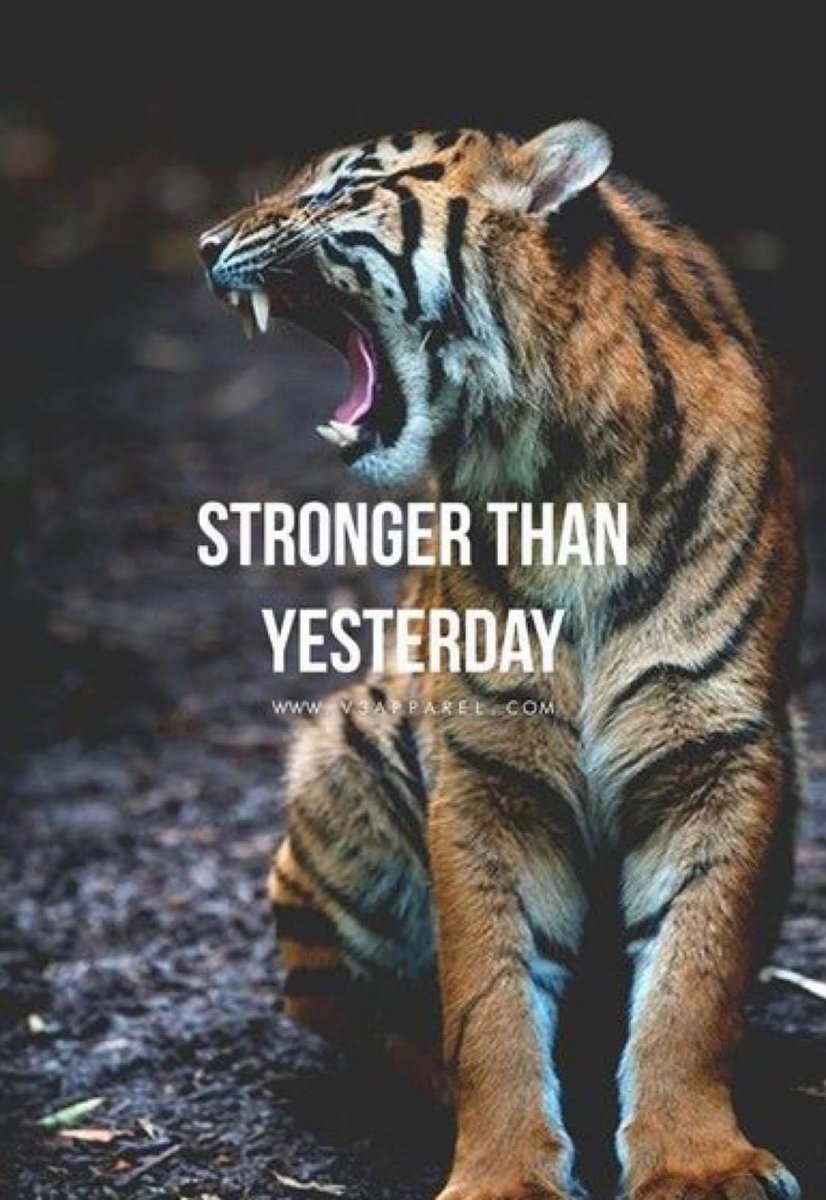 AmandaK12014's tweet photo. Gym Time 🦾 #driven #weightlossjourney 
#neverbackdown #blessed #beastmode #weightlosstransformation #invincible 
#weightlossgoals #girlboss #positivethinking
#inspireothers #fitgirls #getitgirl #goalcrusher 
#believe #liftingpower #believeinyourself #gymaholic https://t.co/PMOC3tymL0