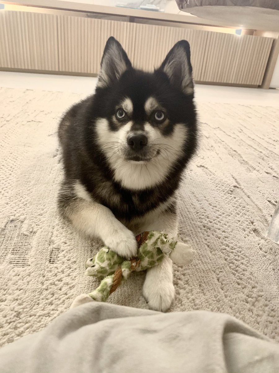 Wait, you’re telling me I have my name back? #therealdonniet