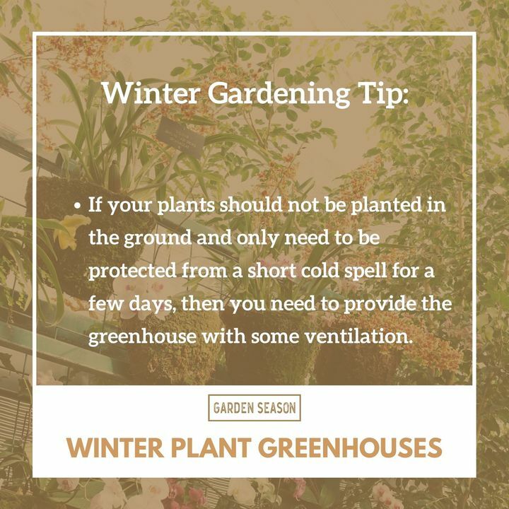 A window flap of sorts that you can open during the day and close at night will help prevent the overheating that you experienced with the first greenhouse.

bit.ly/winter-greenho…