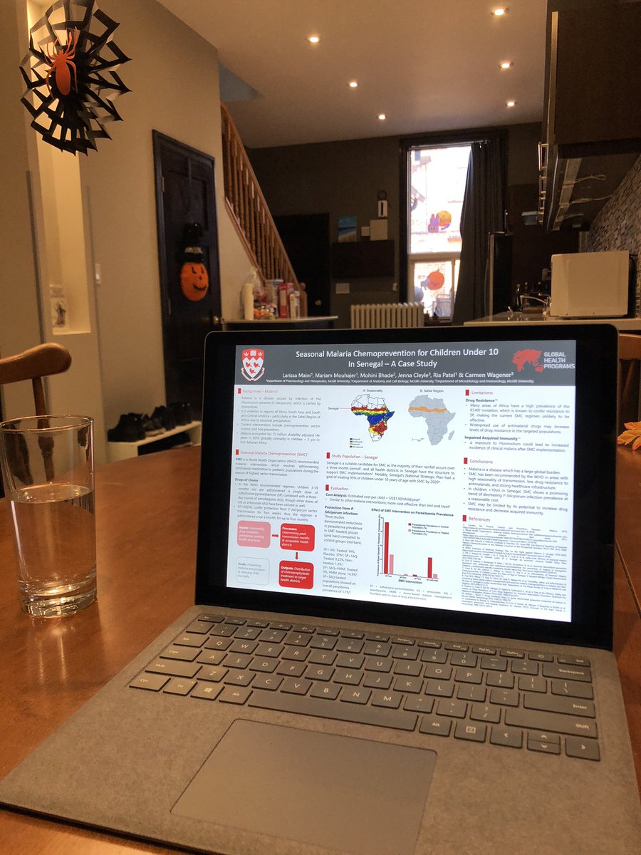 Had a great time presenting at the McMaster Global Health Conference today! (feat. my leftover spooky decorations 🎃)