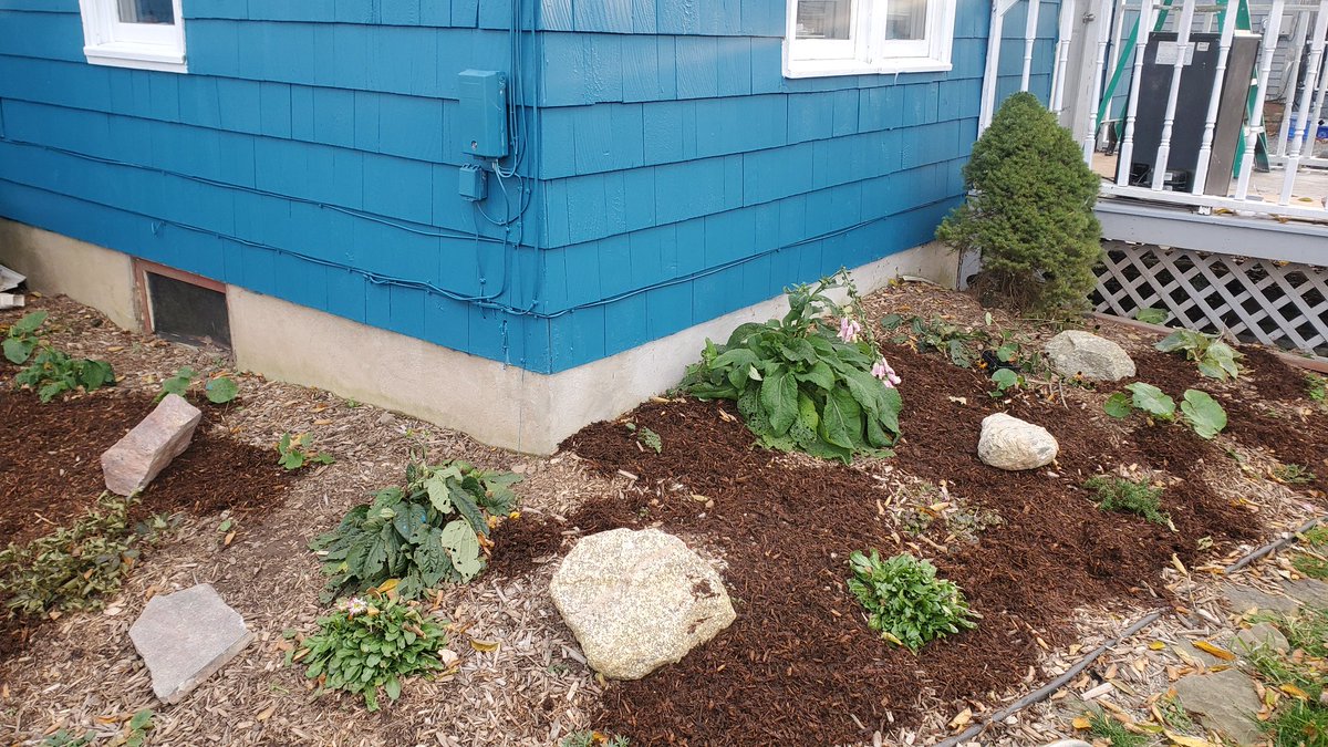 jason_loxton's tweet photo. Added new landscaping rocks to my house. Realized it is now too felsic. #GeologistProblems https://t.co/BFaIafboLw