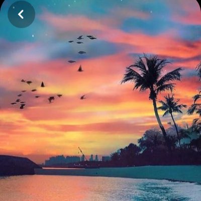 #NouvellePhotoDeProfil