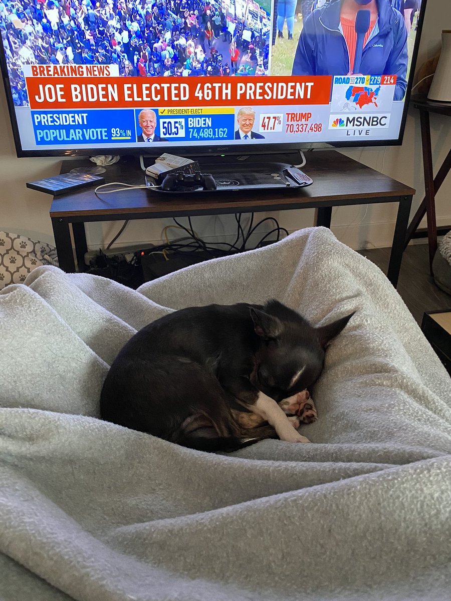 Shebrador's tweet photo. Finally, we can all now rest and catch up on 3 sleepless nights. #BiddenHarris2020 #Bidden46 #BackToNormal #ByeByeTrump #DonaldYouAreFired https://t.co/SWqbwozuiE