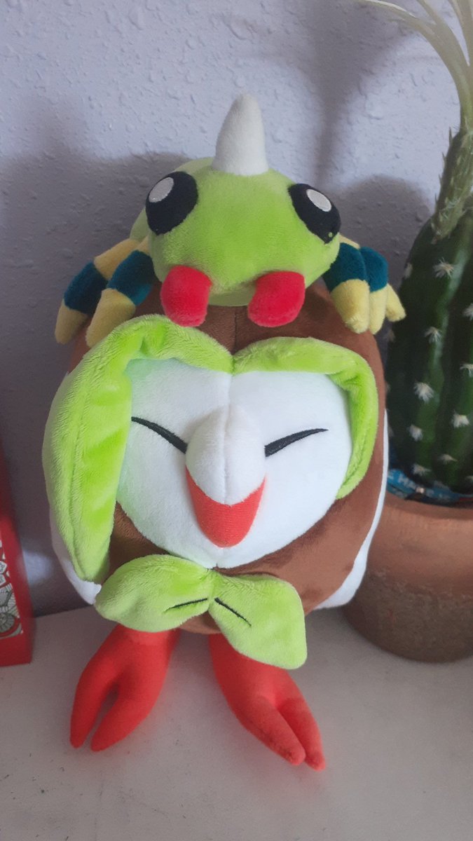 Fandomz_Fanboi's tweet photo. These are my favorite pokemon 💚
What are yours? https://t.co/DtrPnxKD5g