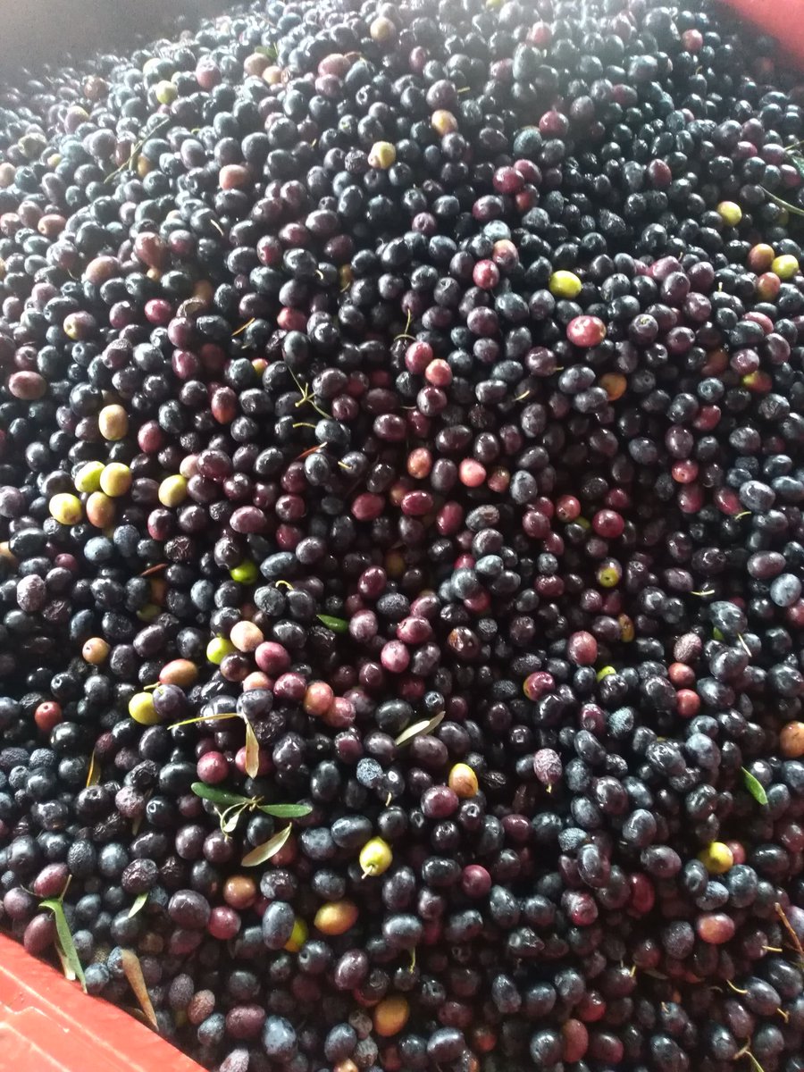 Yeni sezon hayırlı olsun...