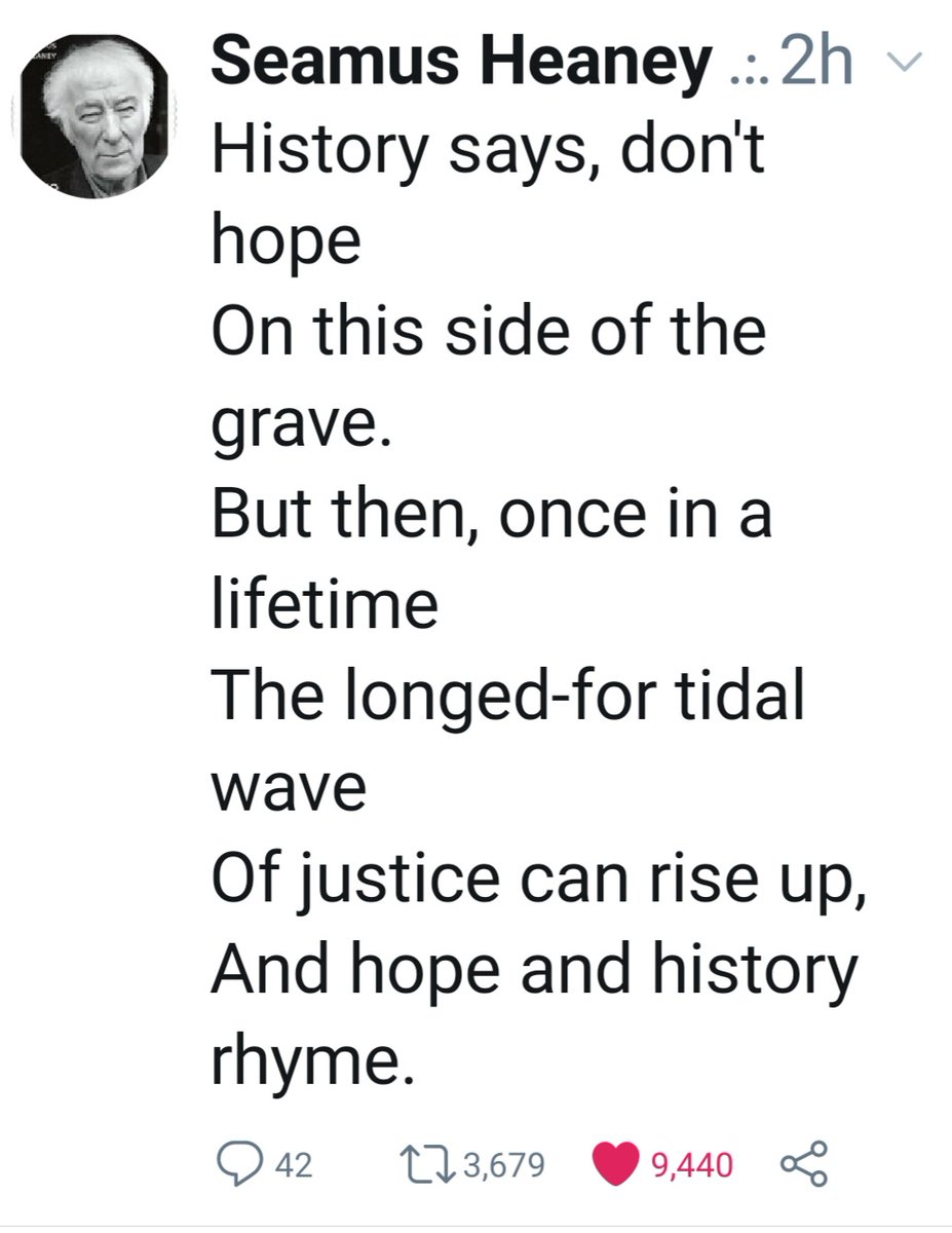 joe bedford tweet media