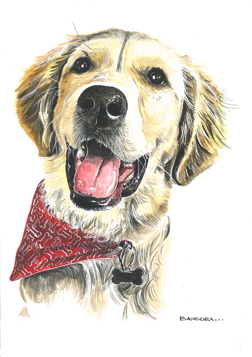 GraemeBandeira's tweet photo. Struggling to get out to do your Christmas shopping? Allow me to help 👌 If you’re interested in a pet portrait then shout up but get in early! https://t.co/6JPT3ilfdE