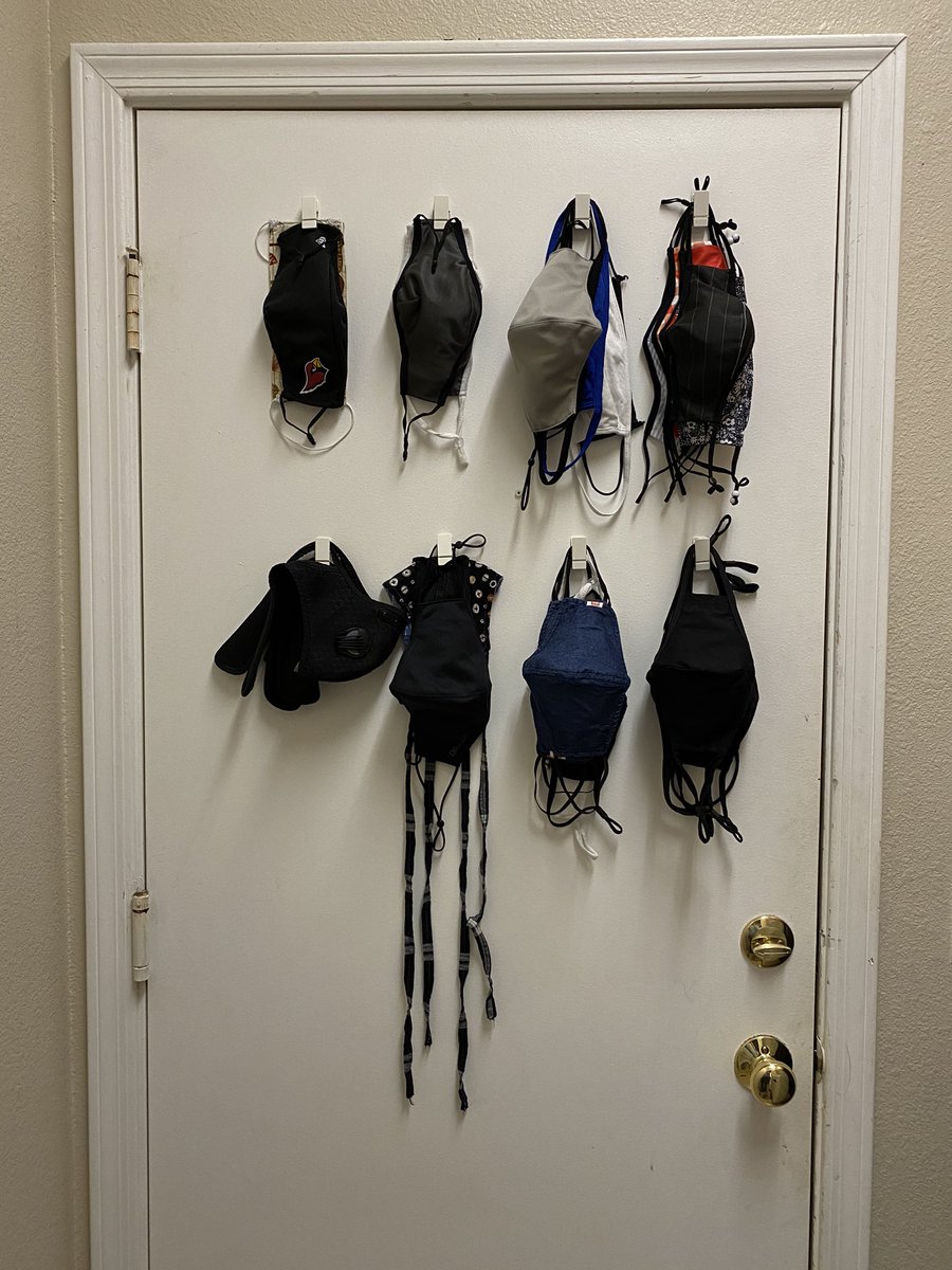 az_lisa's tweet photo. 8 months into the pandemic....starting to cull masks - the winners have emerged and extras have been ordered. Oh - and before times we didn’t have an organizational structure on the door to the garage for - ahem - MASKS. https://t.co/Bs749mpyRD