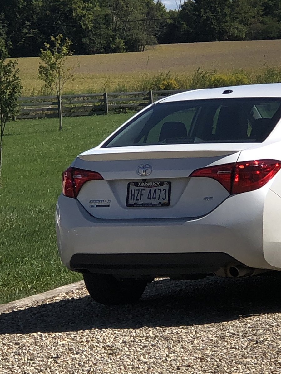 ReaganSpires's tweet image. Hi, I live 5 mins from OSU campus &amp;amp; my whole car got stolen Thursday night. I’m a college student living far from home, I rlly need to find this damn car😪. License plate: HZF 4473(could have been changed) 2017 Toyota Corolla. Big dent on drivers back door. Pls share 🥺