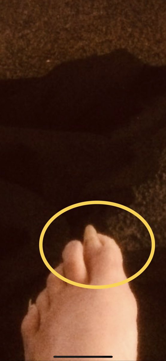 Muhpee's tweet photo. @JefftheDrunk1 WTF! https://t.co/mfdMVqkmel