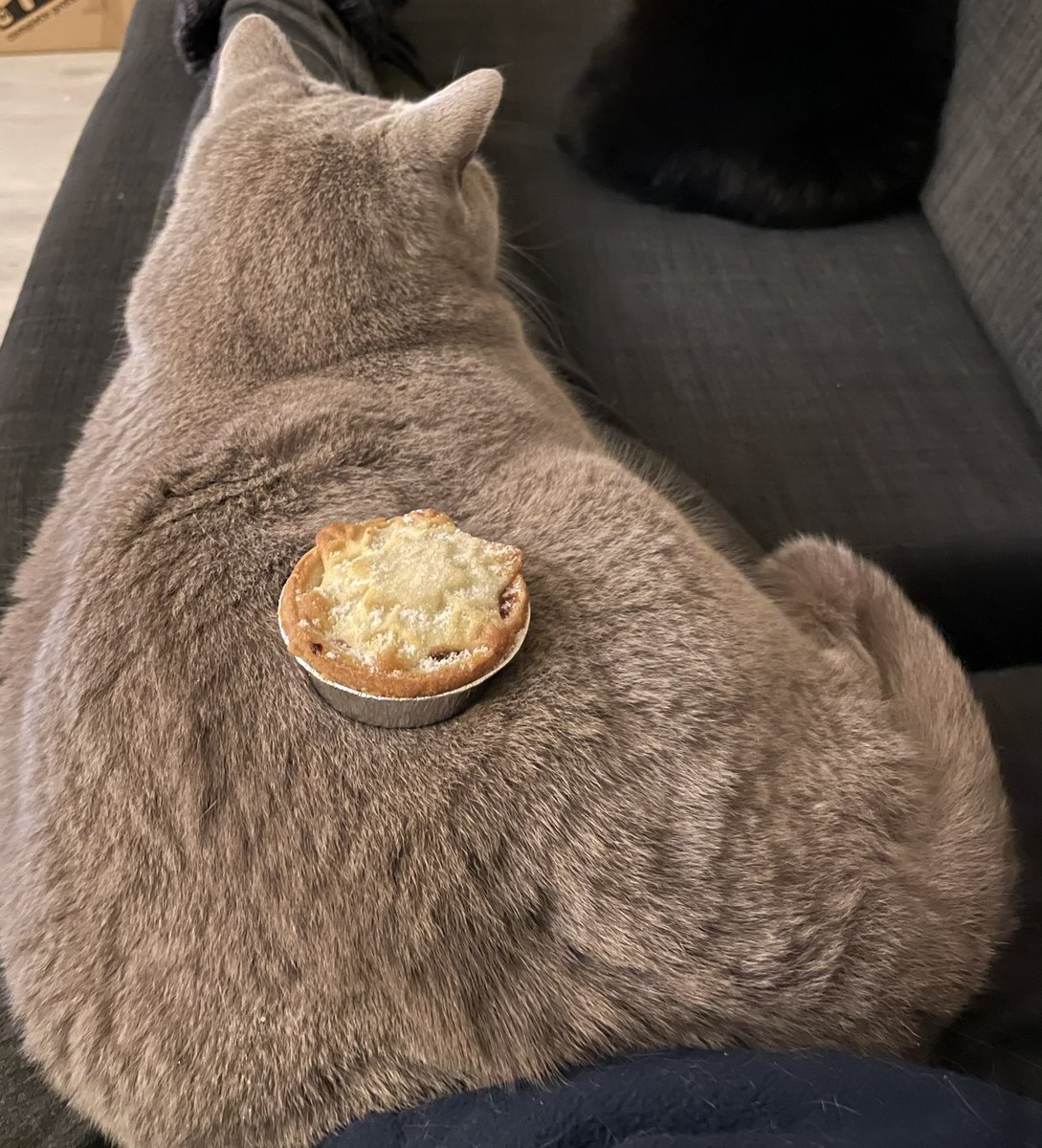 Ewan St. John Smith tweet media