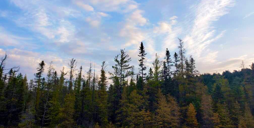 Are you exploring #AlgonquinPark this weekend? We’d love to see photos of your adventures!! 🍂 🥾 🌲 ☀️ https://t.co/oVGoqTa4Dj