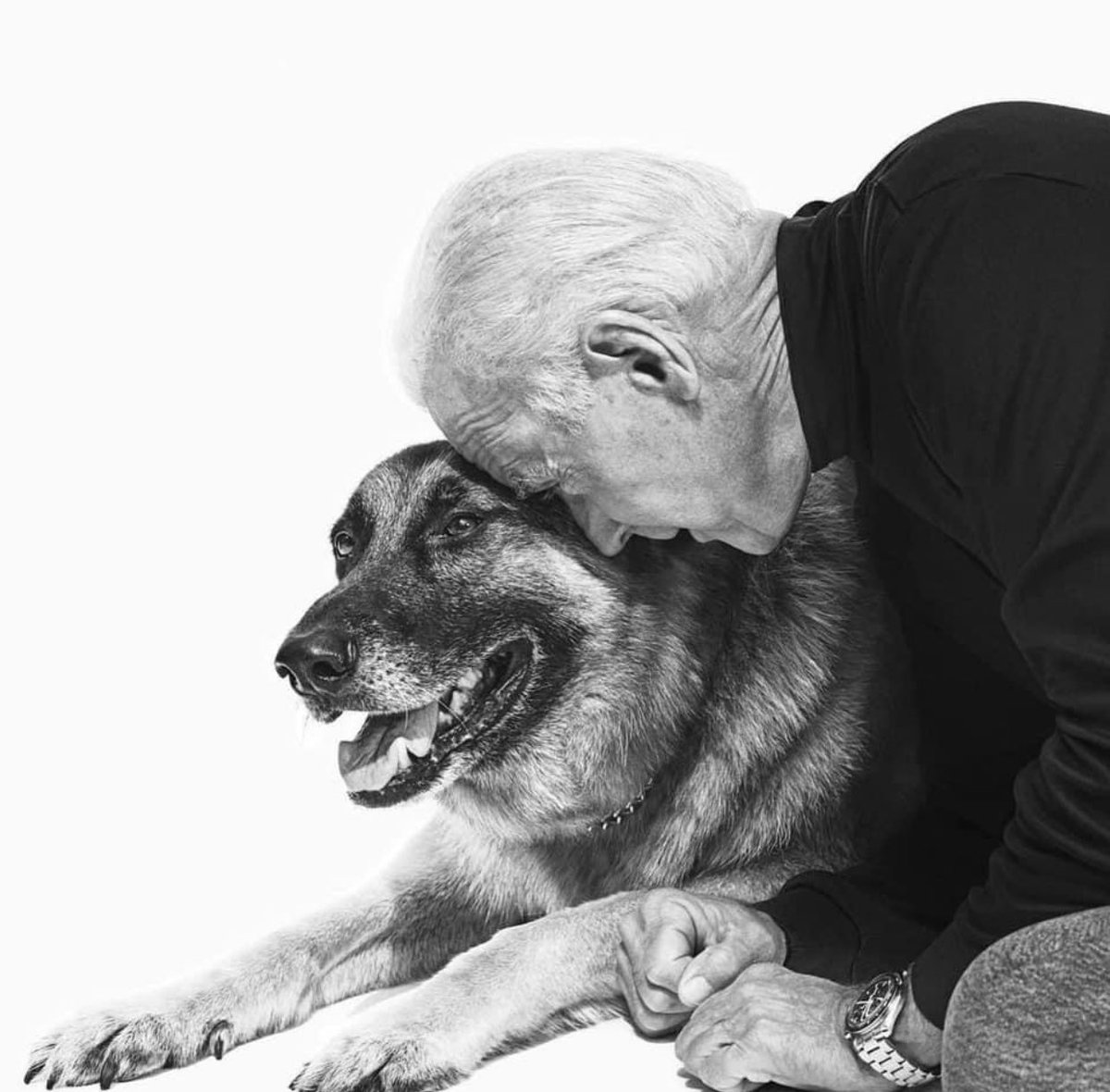 H_Combs's tweet photo. Never trust a man who has never loved a dog. Aka #TrumpYoureFired https://t.co/SWNFYhbhHR