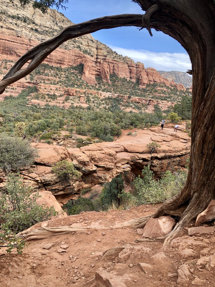 NearAndFarAZ's tweet image. I made a trip to this Arizona beauty yesterday. So crowded, even on a Friday, but still amazing! #DevilsBridge #SedonaAZ #ArizonaHiking @ArizonaTourism
